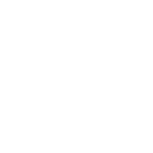 Volante MOZA ES