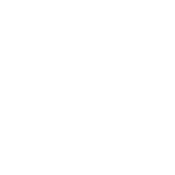 Torque pico de 5,5 Nm